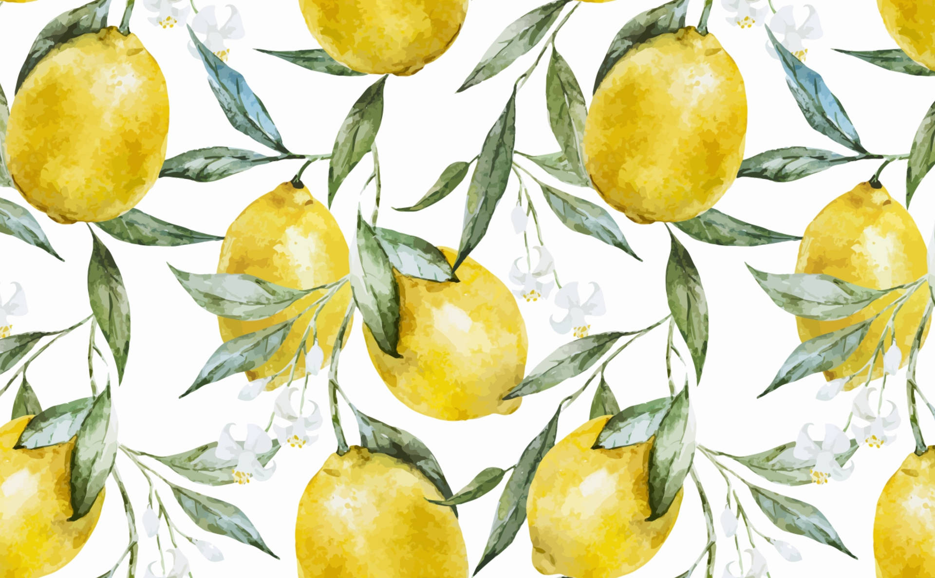 Lemon 3028X1872 Wallpaper and Background Image