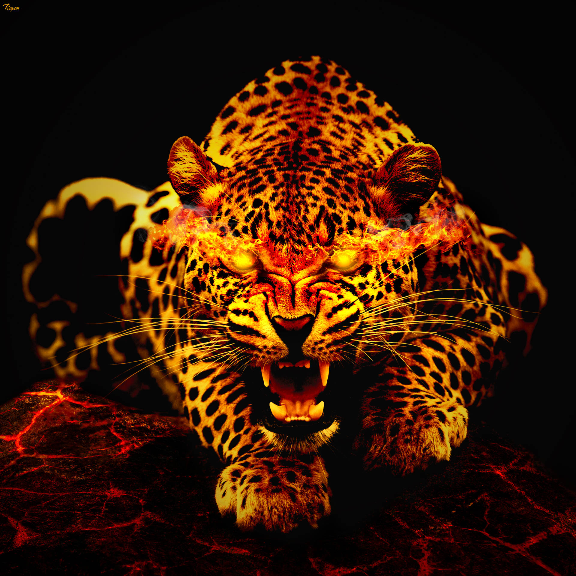 2548X2548 Leopard Wallpaper and Background