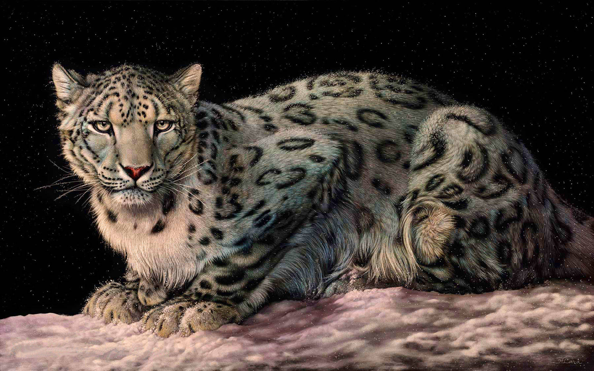Leopard 3840X2400 Wallpaper and Background Image