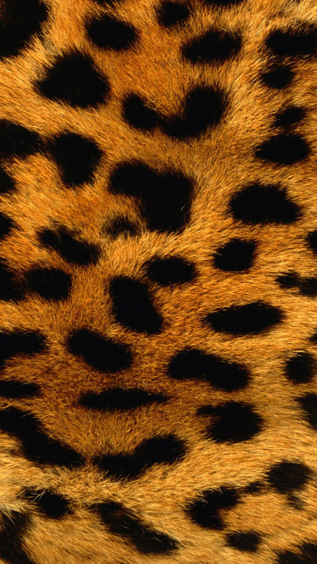1080X1920 Leopard Print Wallpaper and Background