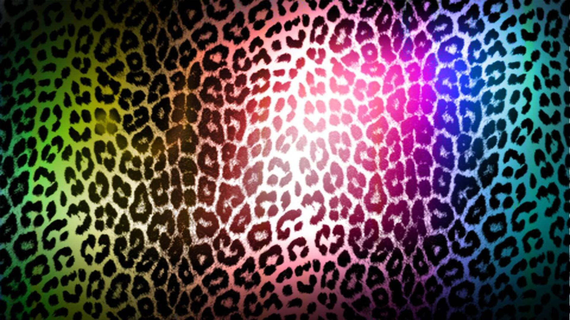 Leopard Print 1920X1079 Wallpaper and Background Image