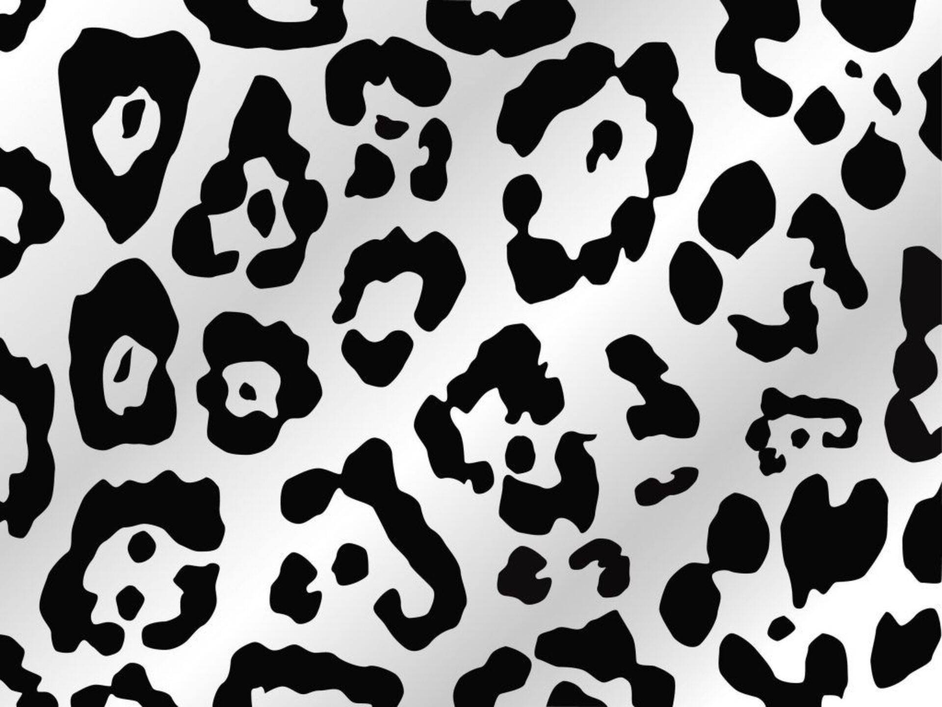 1920X1440 Leopard Print Wallpaper and Background