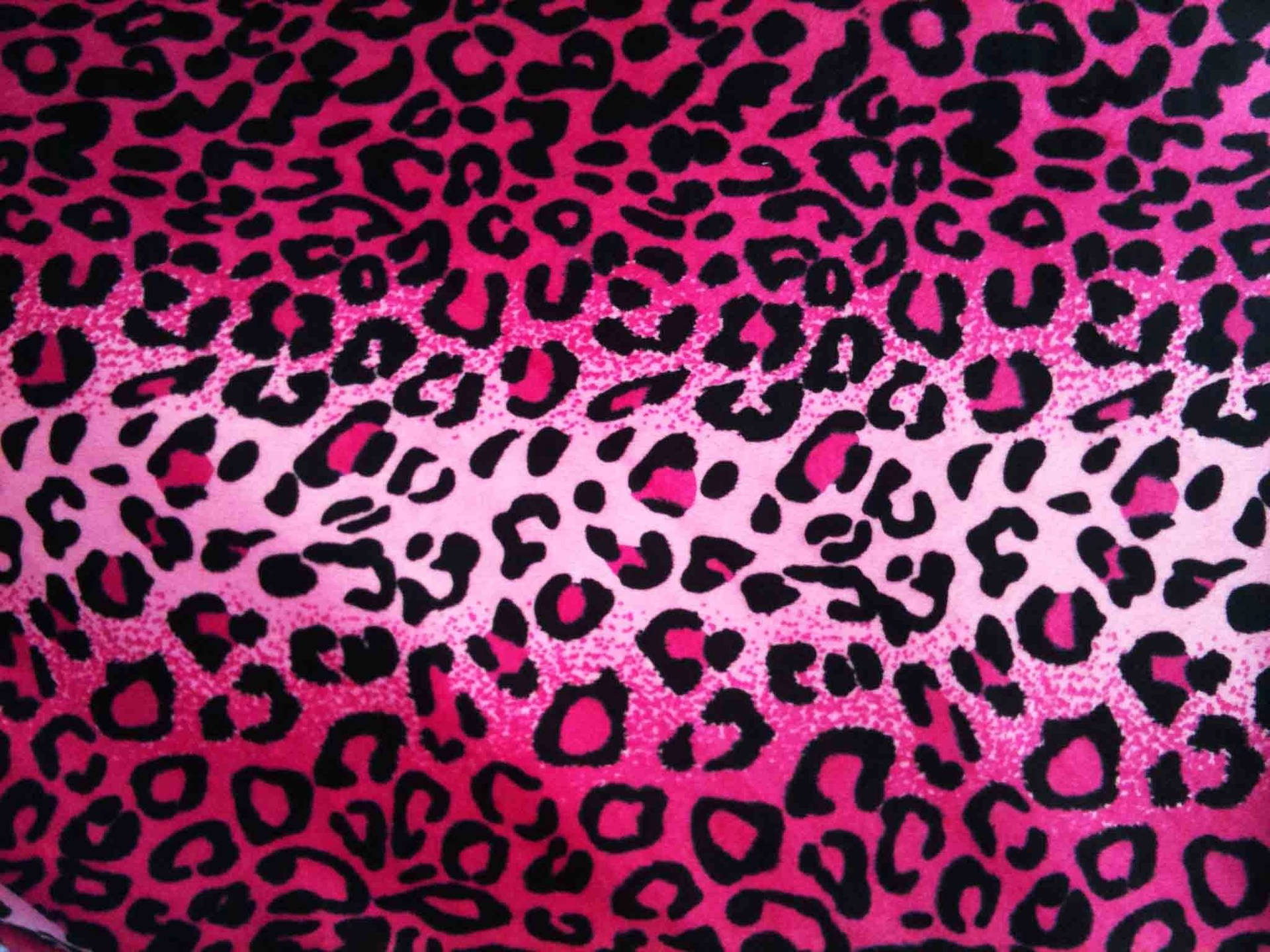 Leopard Print 2048X1536 Wallpaper and Background Image