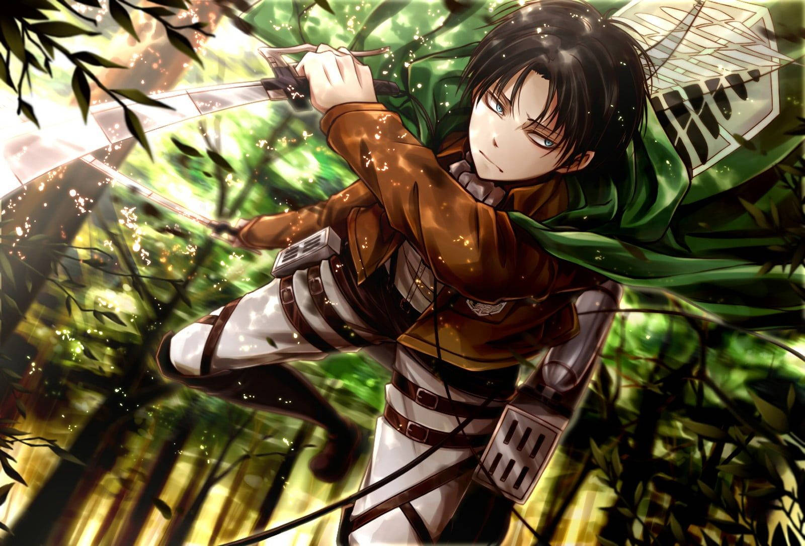 1600X1086 Levi Ackerman Wallpaper and Background