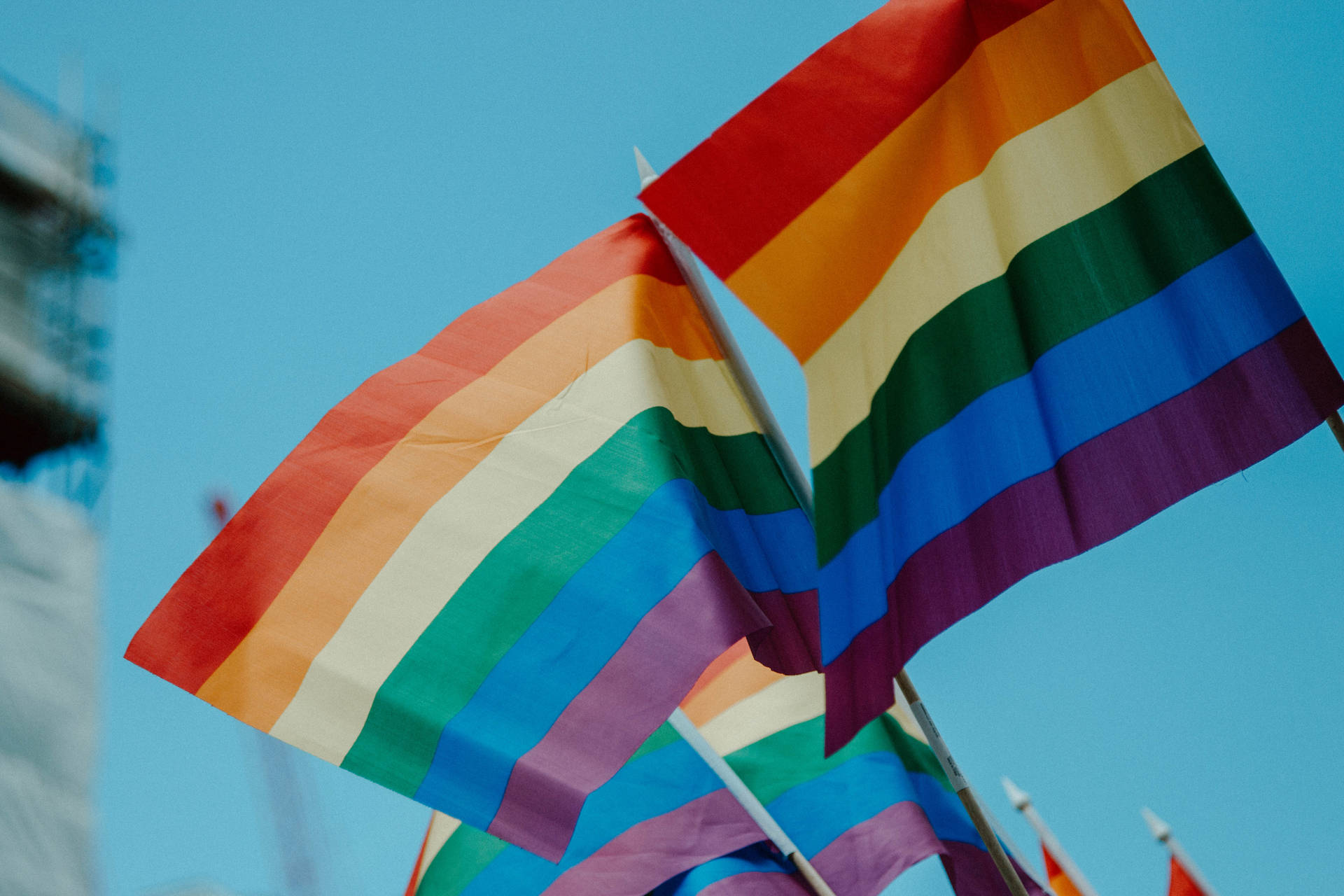 Lgbt 5472X3648 Wallpaper and Background Image