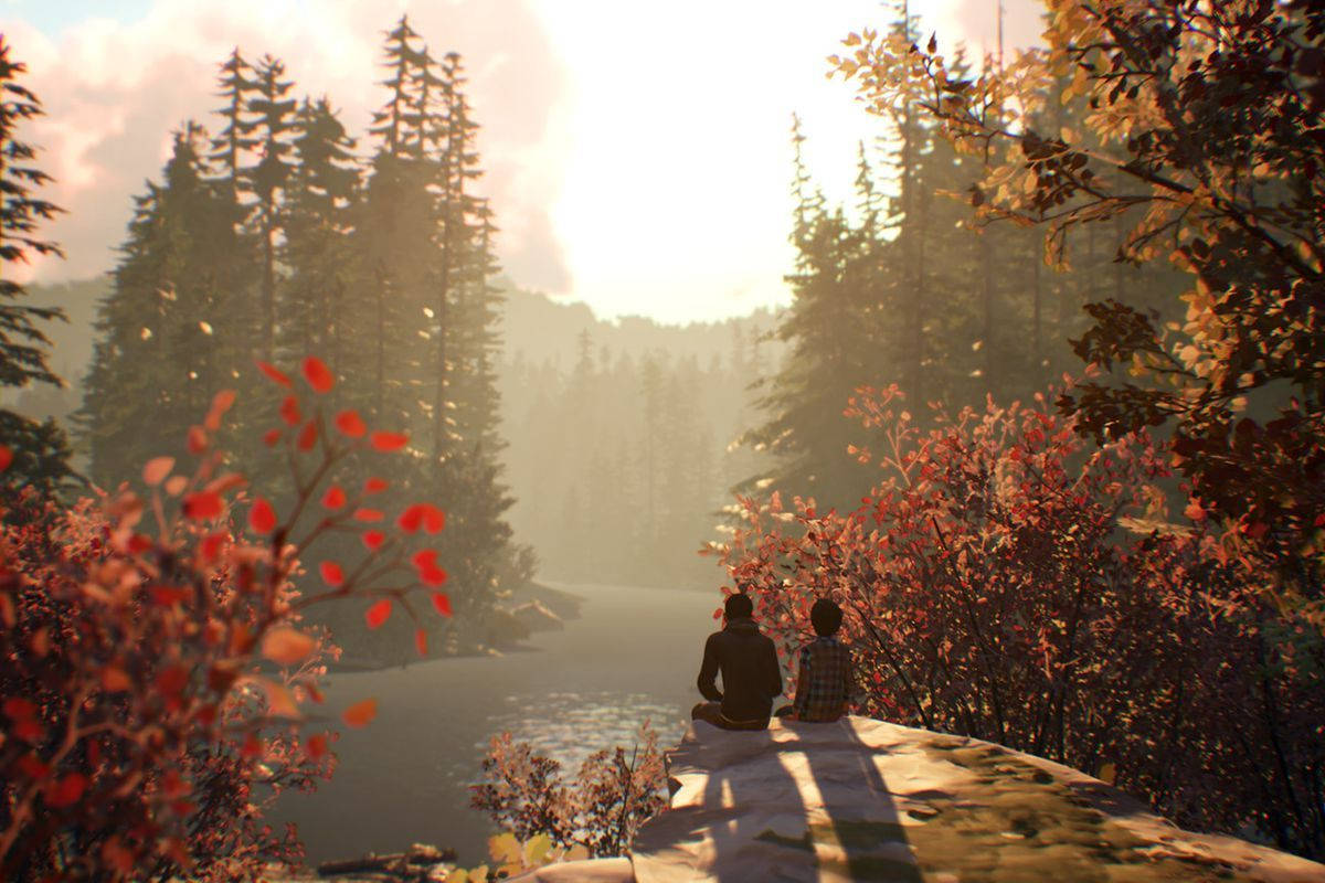 Life Is Strange 1200X800 Wallpaper and Background Image