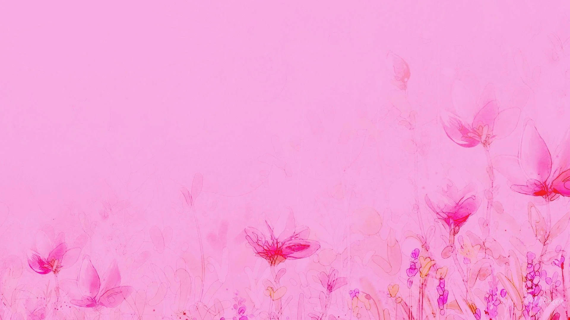 Light Pink 1920X1080 Wallpaper and Background Image