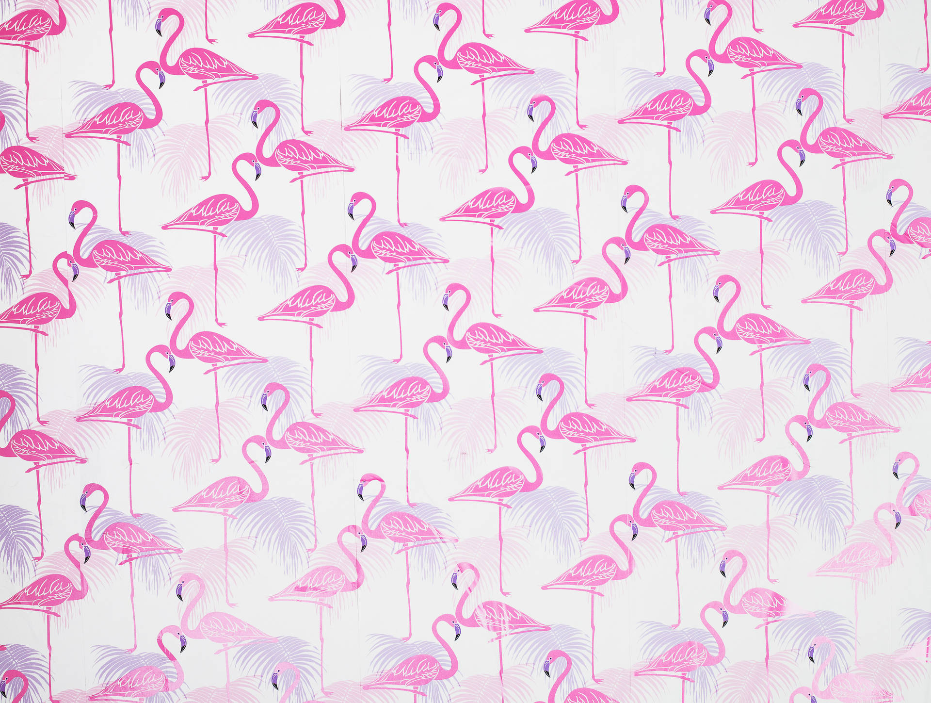 5117X3862 Light Pink Aesthetic Wallpaper and Background