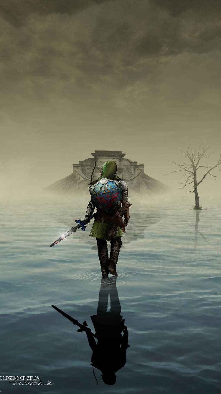 Link 750X1334 Wallpaper and Background Image