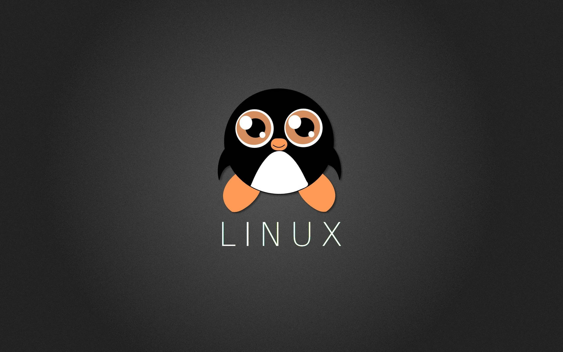 2560X1600 Linux Wallpaper and Background