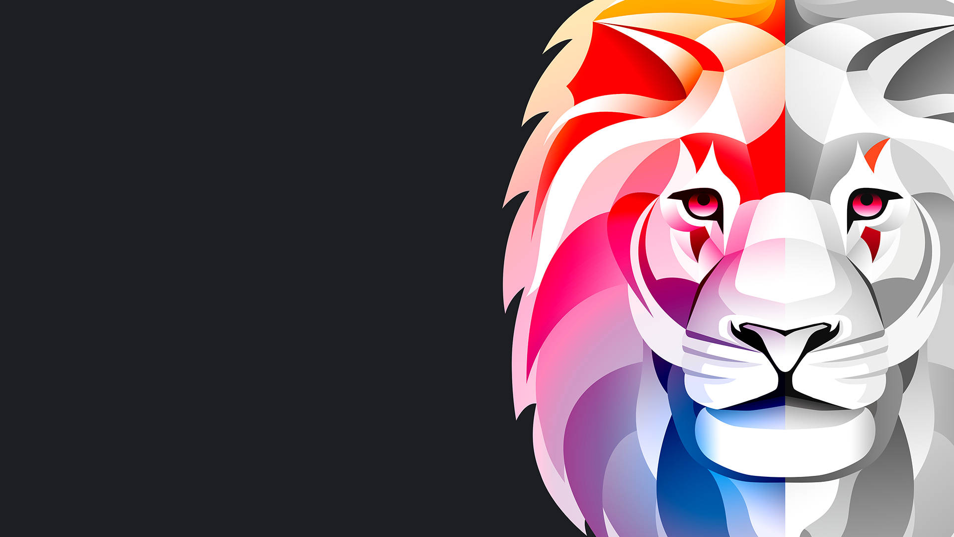 Lion 1920X1080 Wallpaper and Background Image