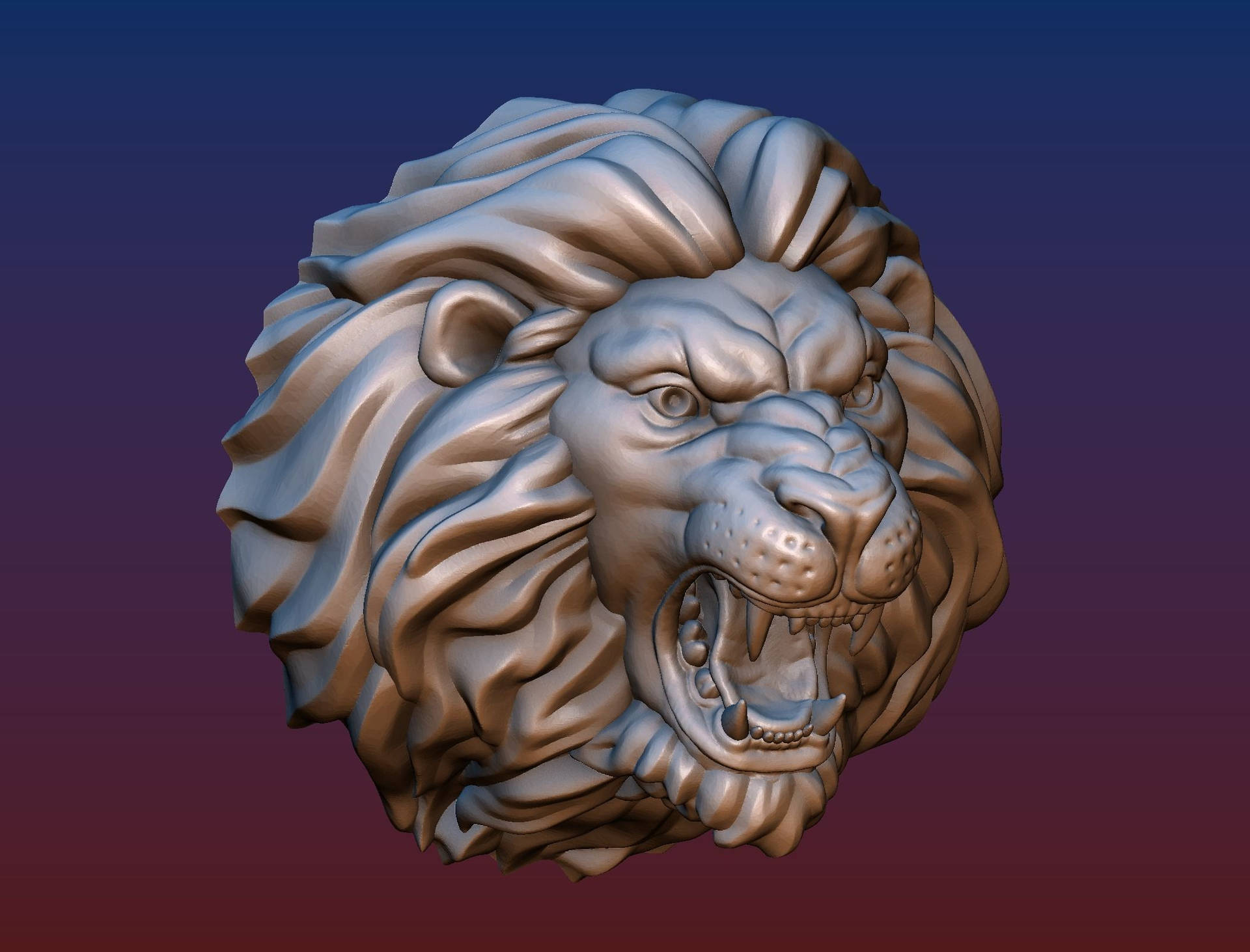 Lion 2100X1600 Wallpaper and Background Image