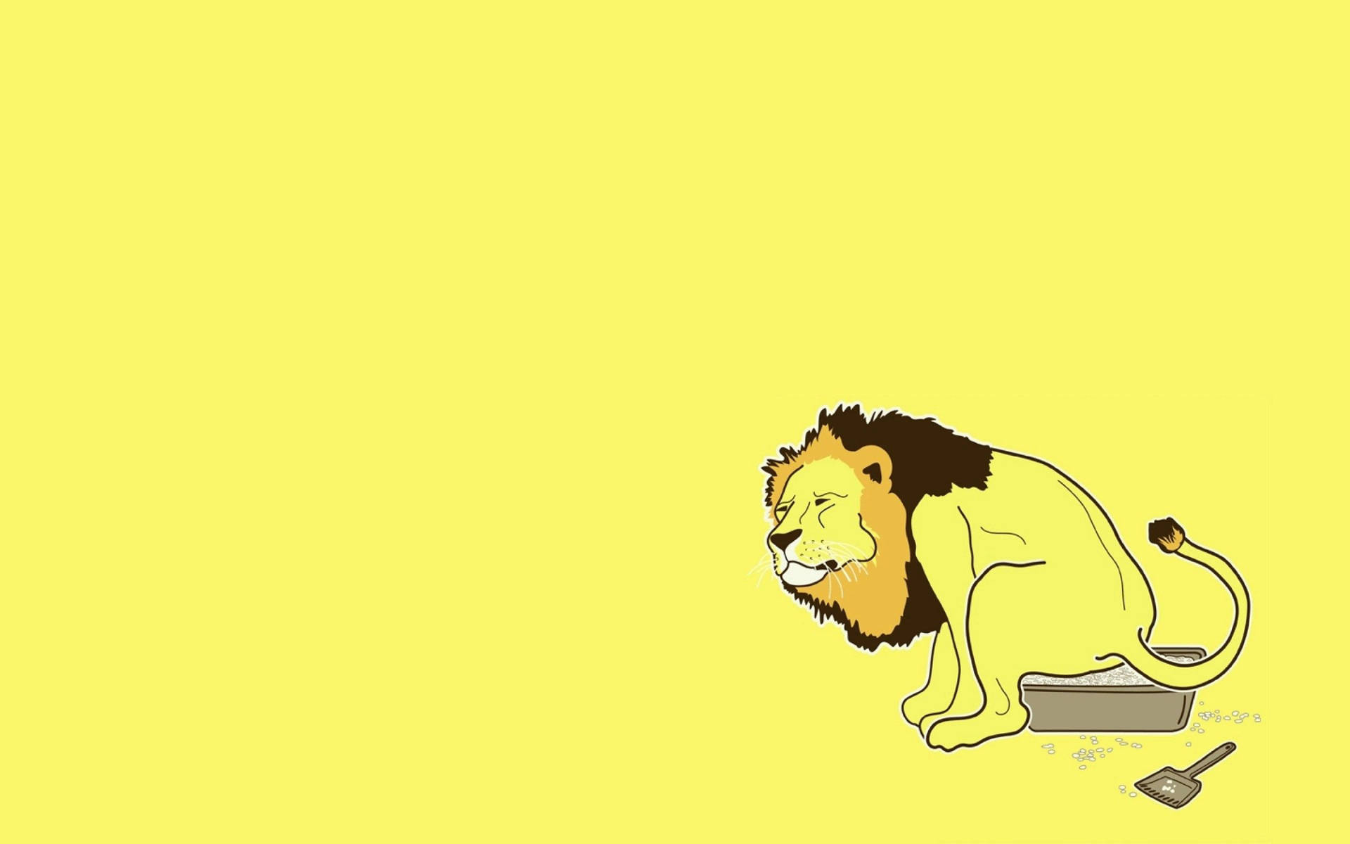 Lion 2560X1600 Wallpaper and Background Image