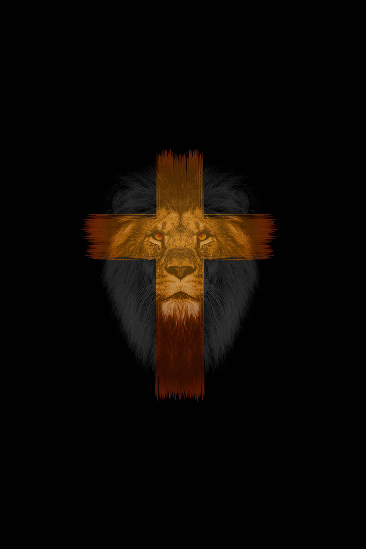 4000X6000 Lion Wallpaper and Background