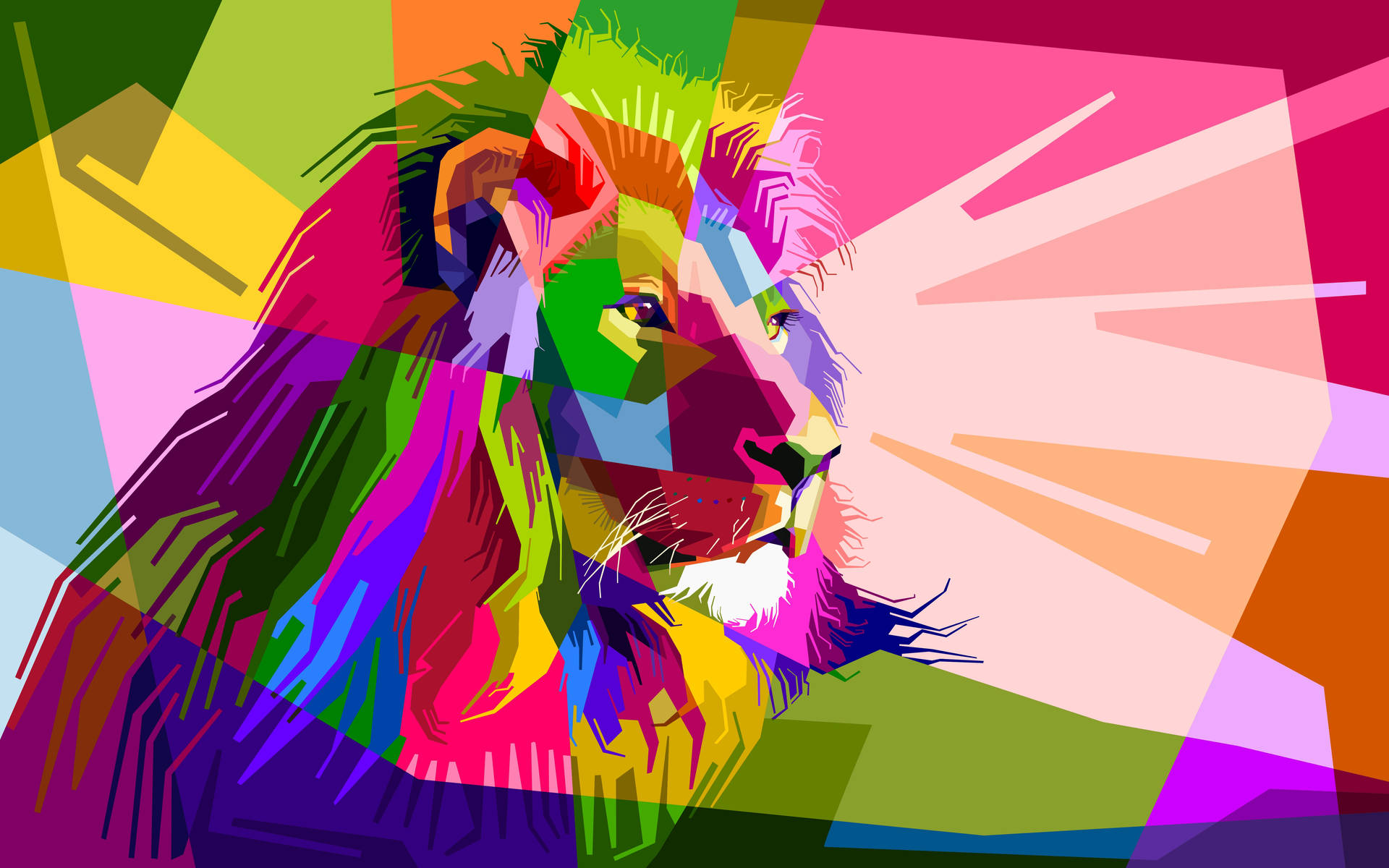 5689X3556 Lion Wallpaper and Background
