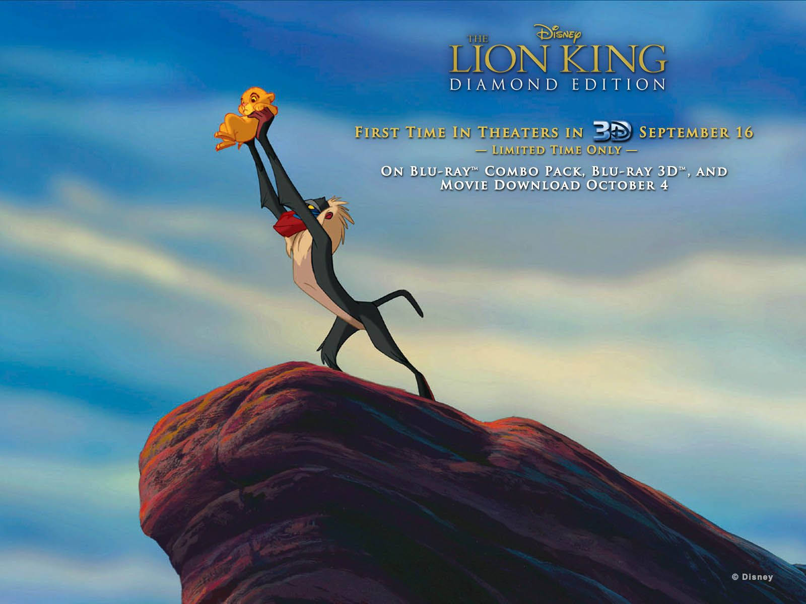Lion King 1600X1200 Wallpaper and Background Image