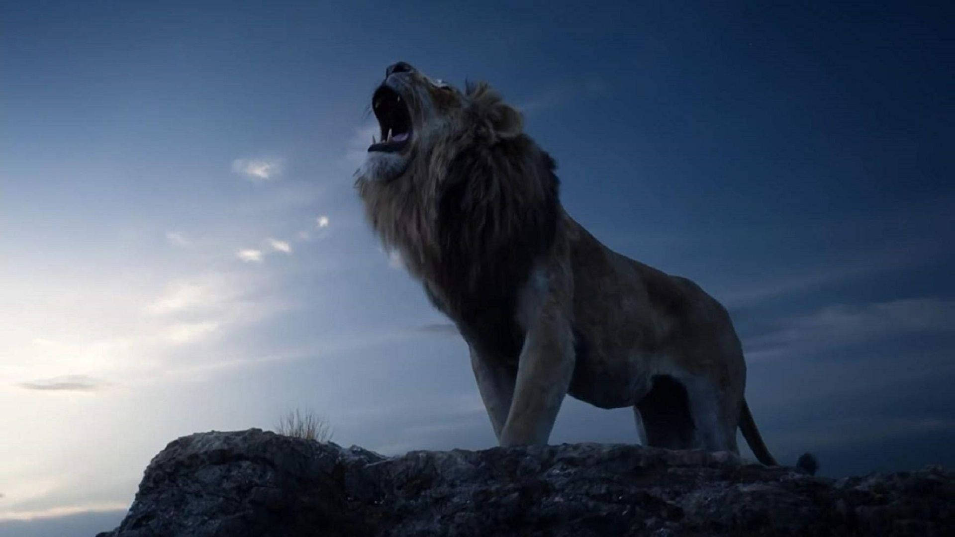 1920X1080 Lion King Wallpaper and Background