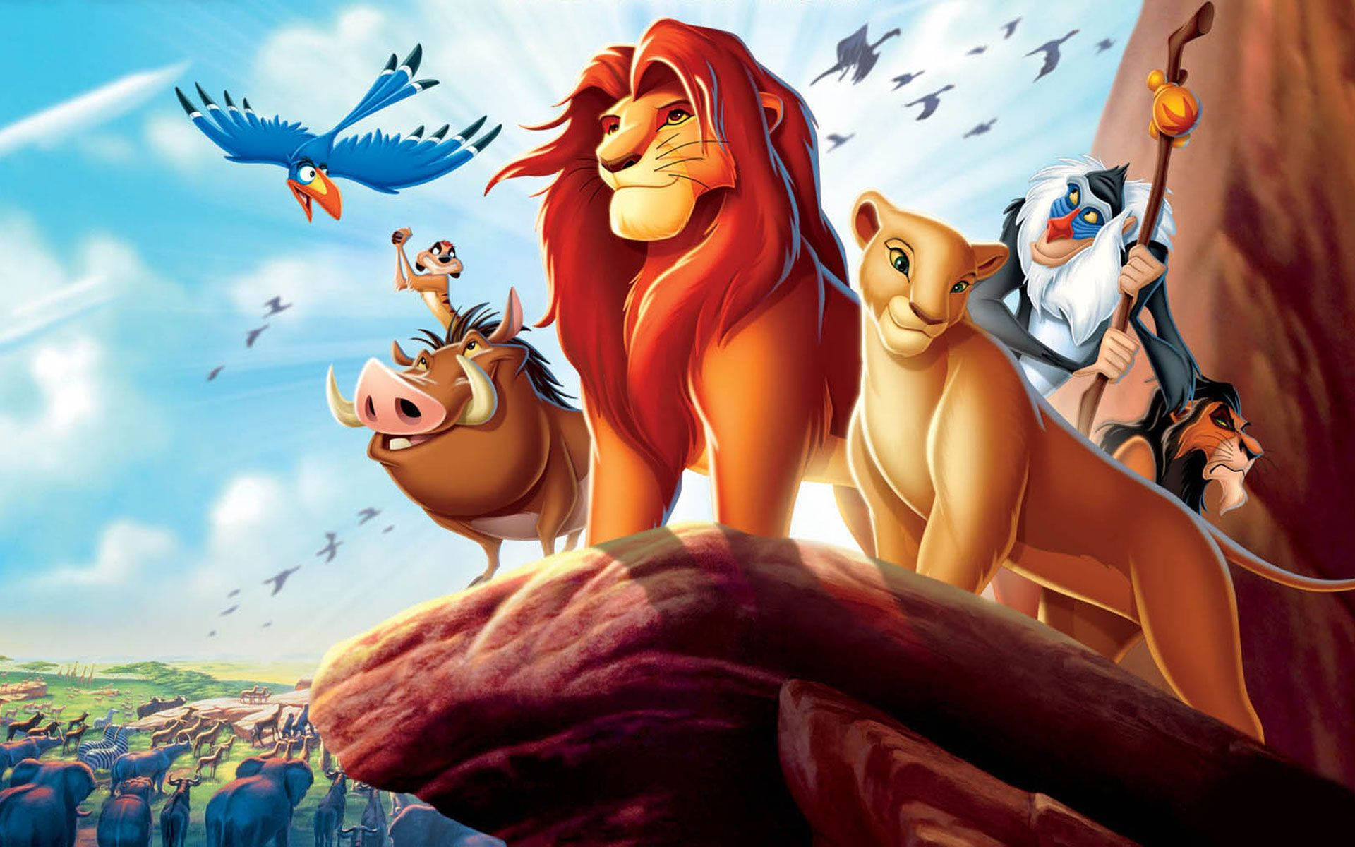 Lion King 1920X1200 Wallpaper and Background Image