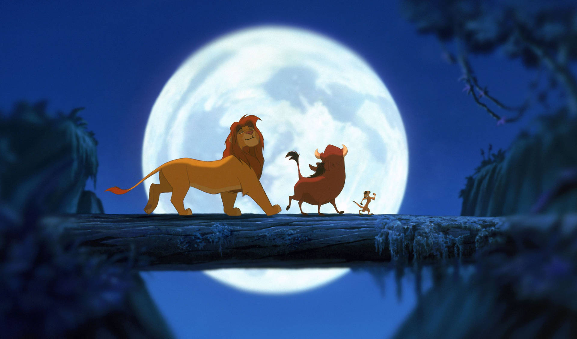 3000X1764 Lion King Wallpaper and Background
