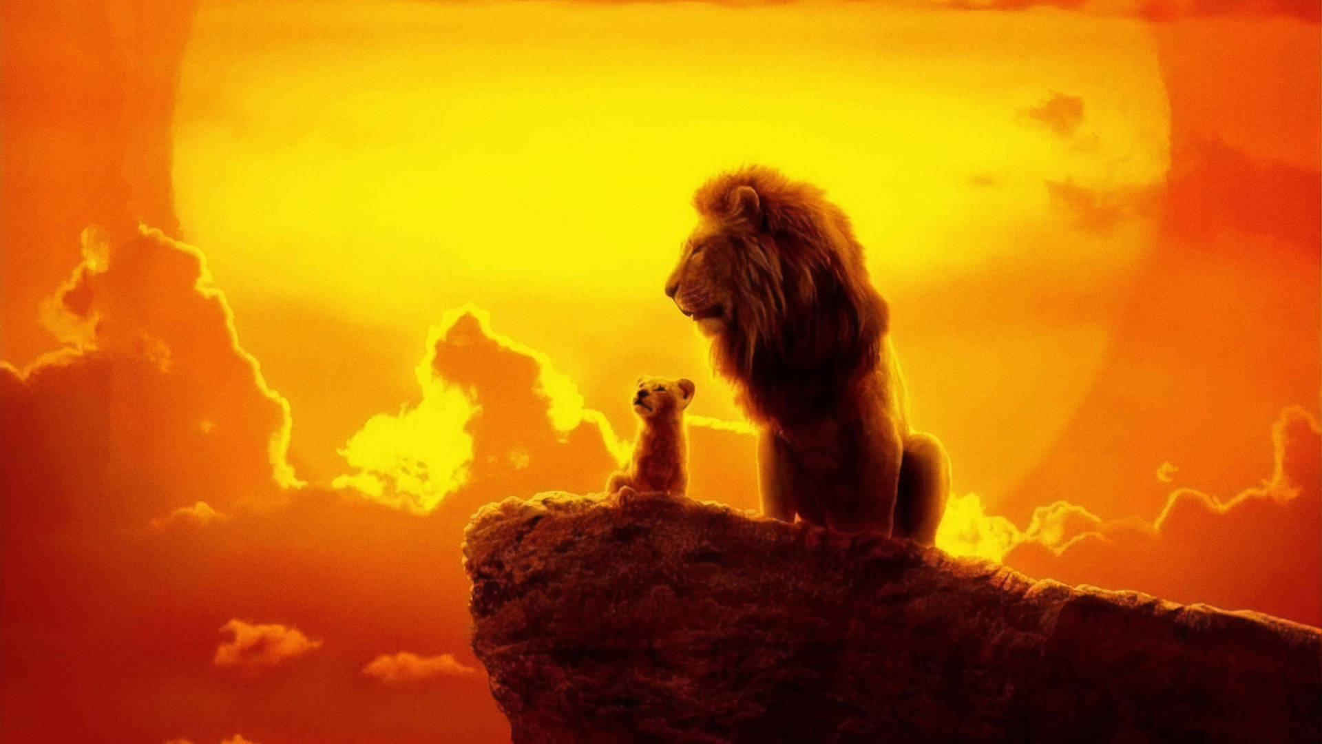 Lion King 3517X1978 Wallpaper and Background Image
