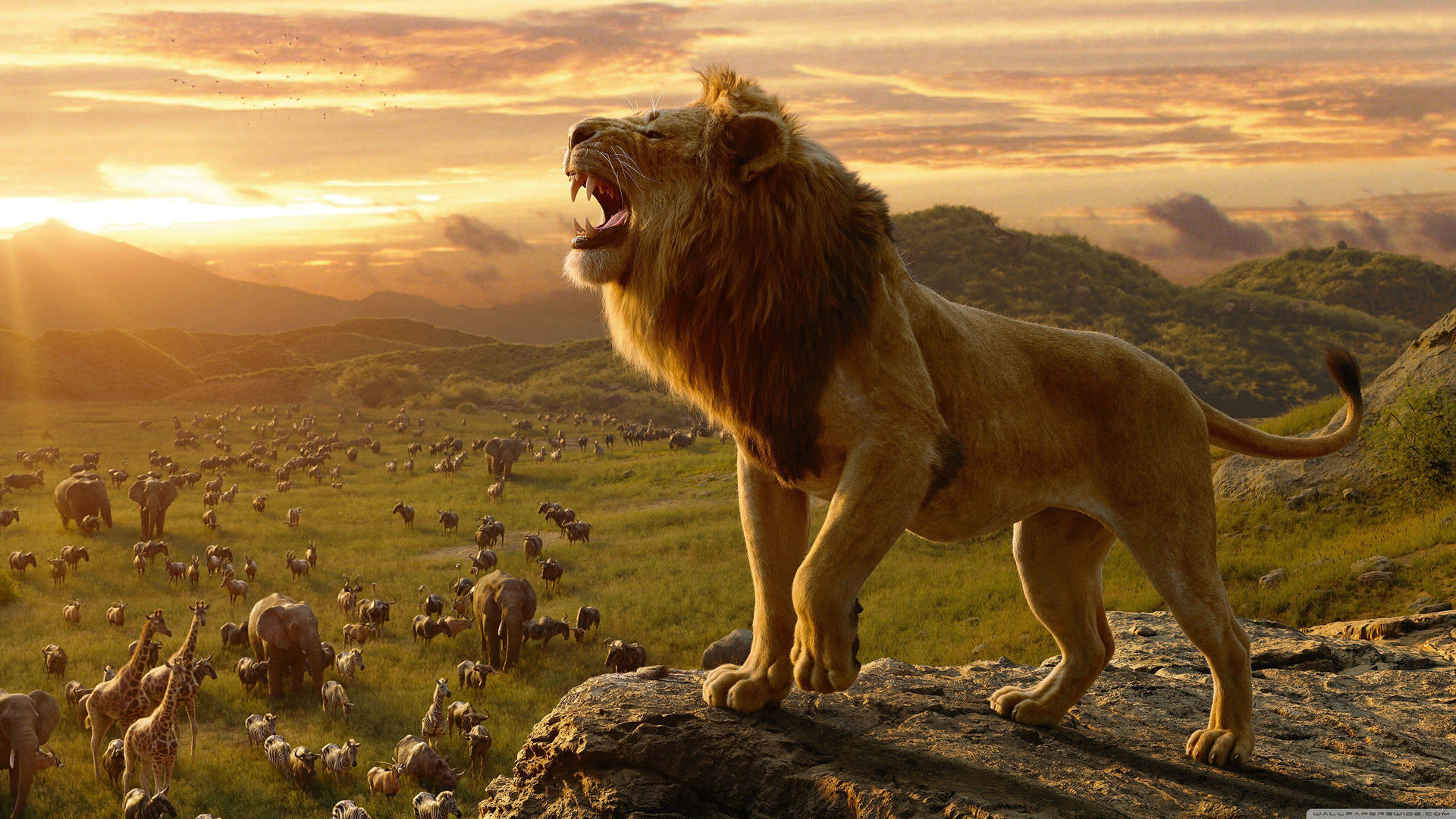 3840X2160 Lion King Wallpaper and Background