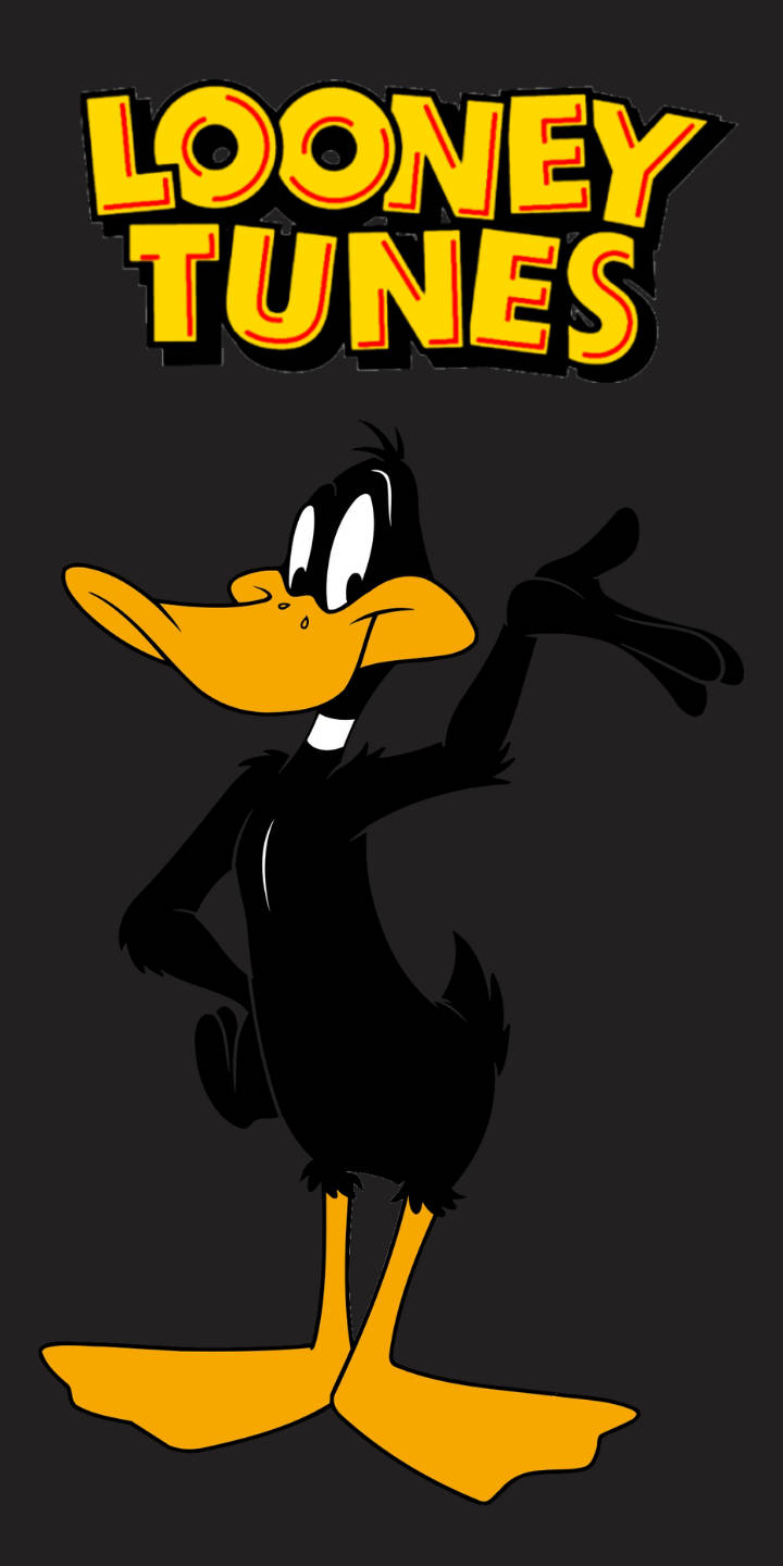 720X1440 Looney Tunes Wallpaper and Background