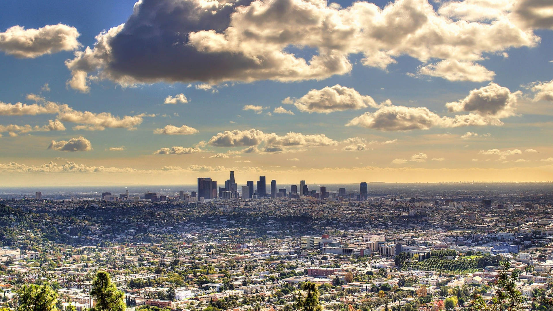 Los Angeles 2560X1440 Wallpaper and Background Image