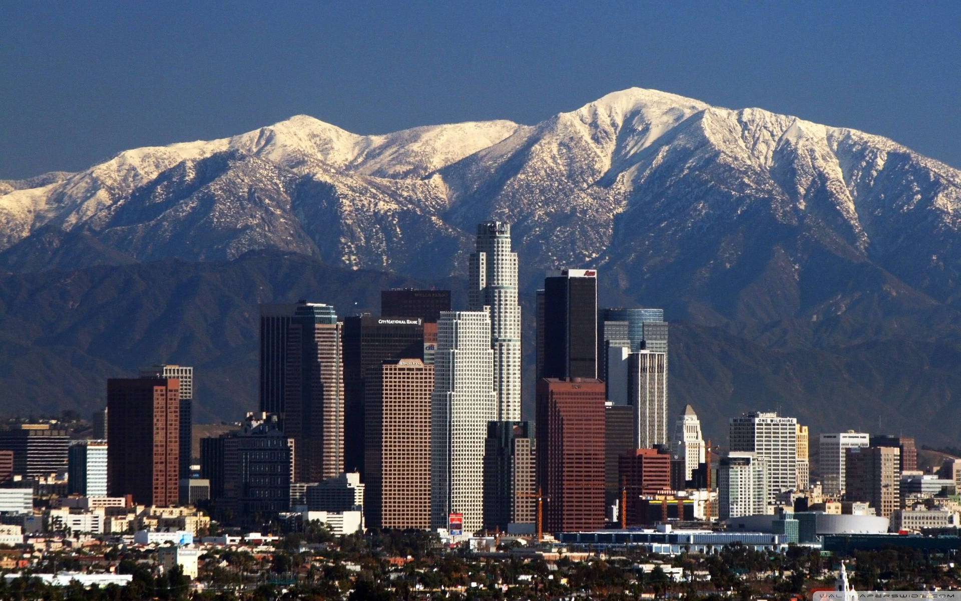 Los Angeles 2560X1600 Wallpaper and Background Image