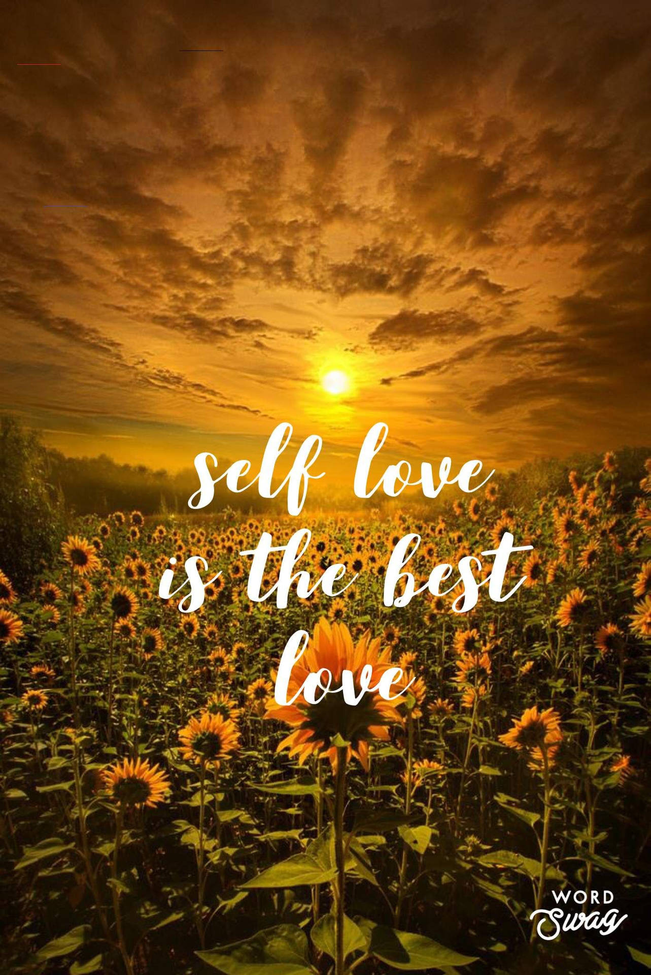 Love Quotes 1368X2048 Wallpaper and Background Image