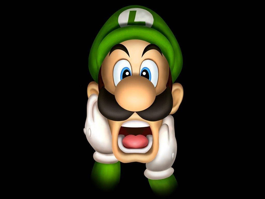 Luigi 1024X768 Wallpaper and Background Image