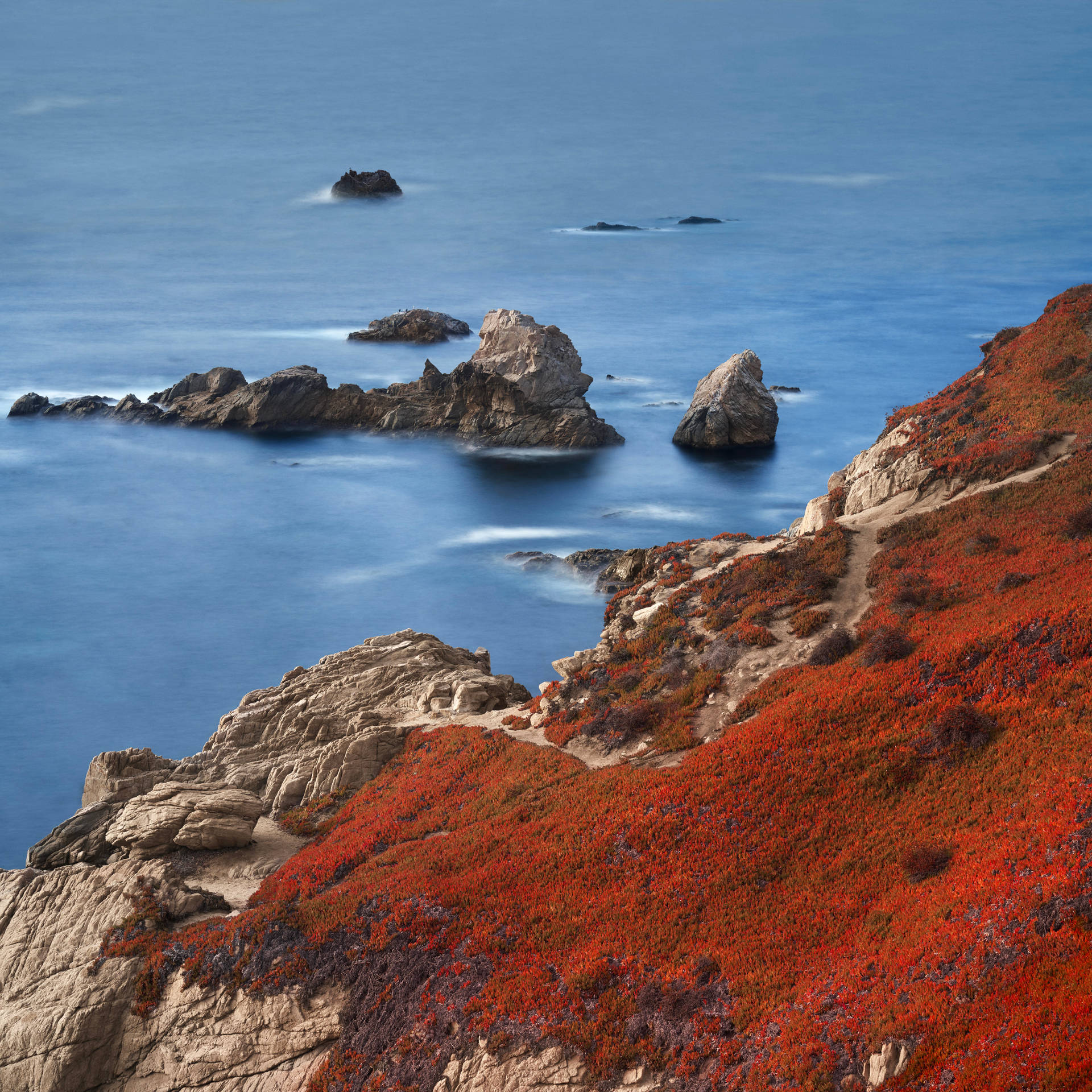 Macos Big Sur 6016X6016 Wallpaper and Background Image