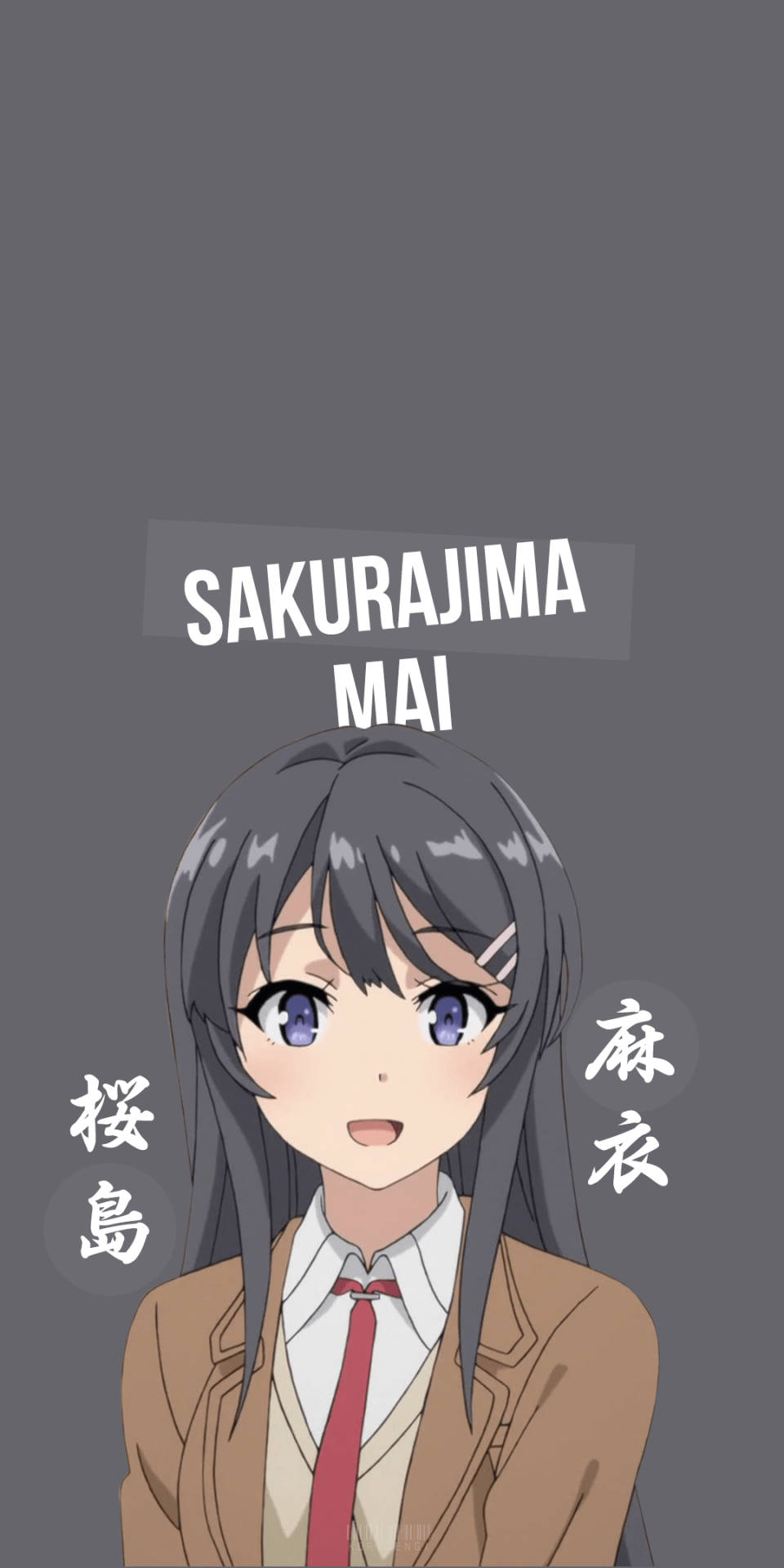 Mai Sakurajima 1080X2160 Wallpaper and Background Image