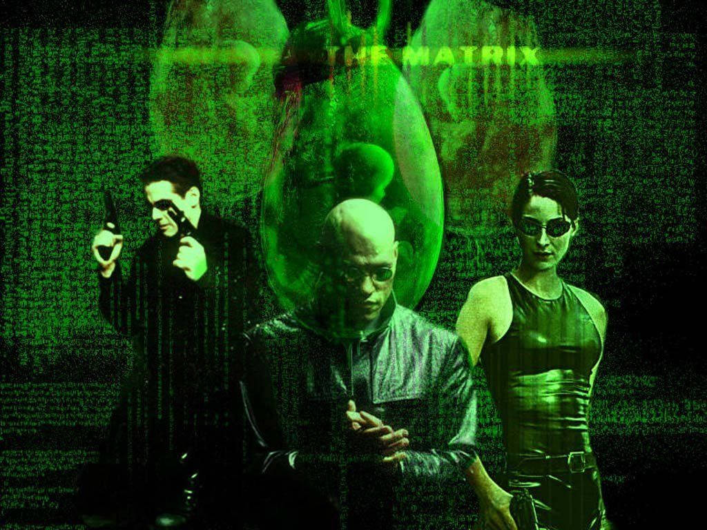 Matrix 1024X768 Wallpaper and Background Image