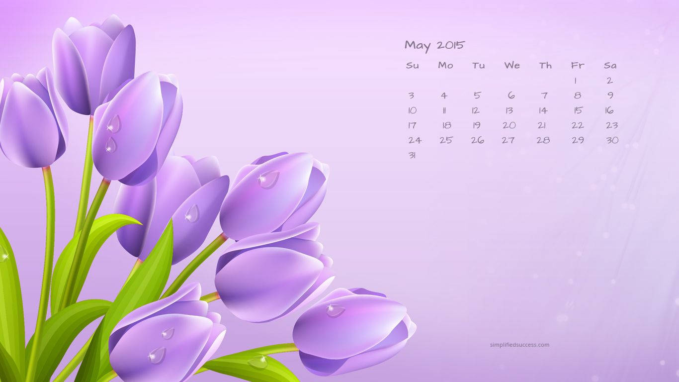 1366X768 May Wallpaper and Background