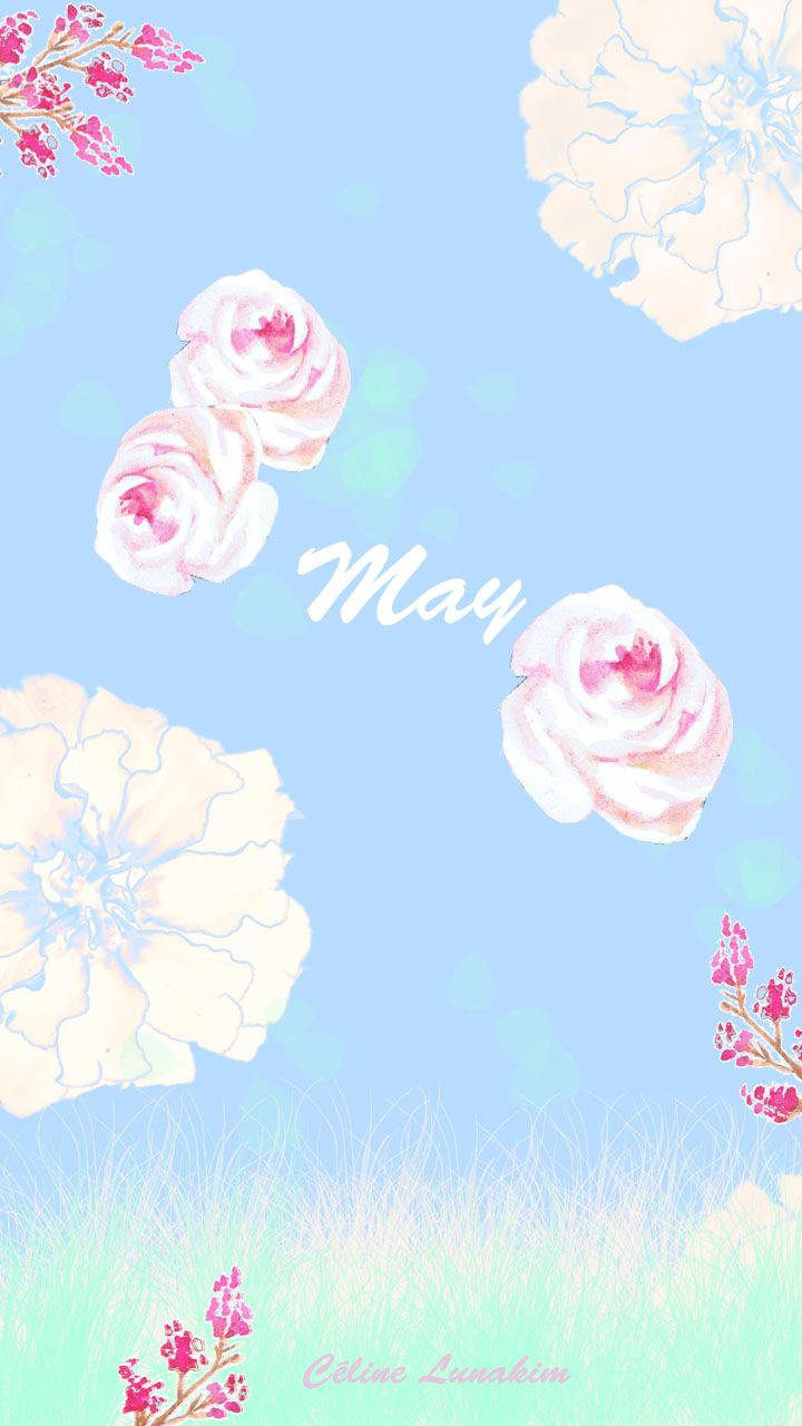 May 720X1280 Wallpaper and Background Image