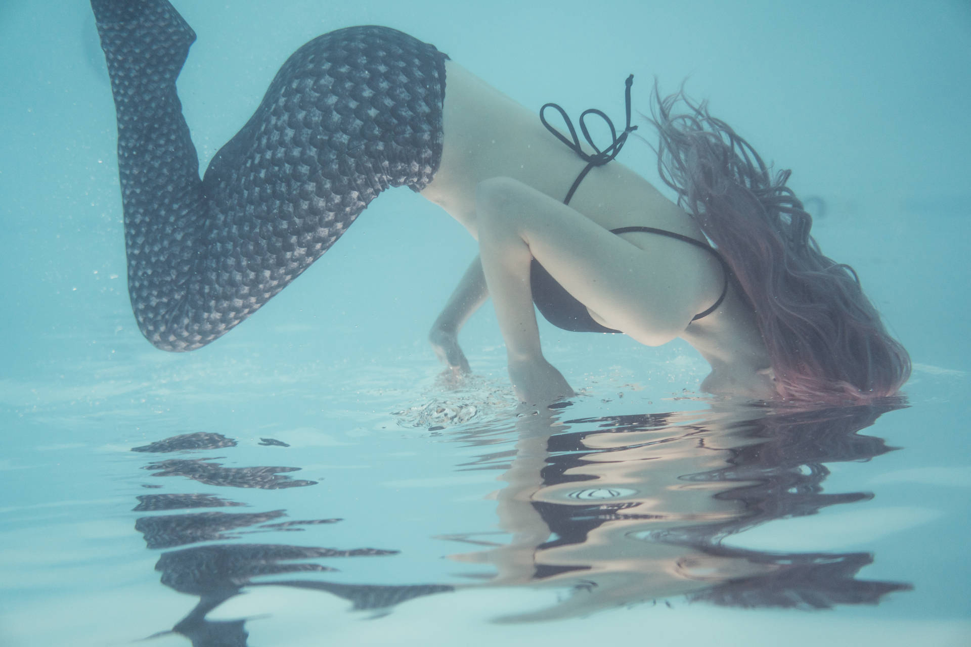 6000X4000 Mermaid Wallpaper and Background