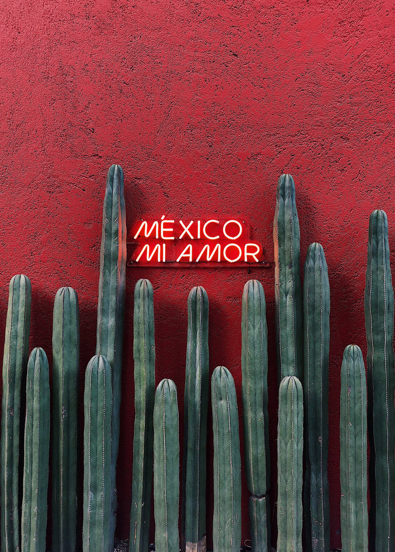 Mexico 2890X4032 Wallpaper and Background Image
