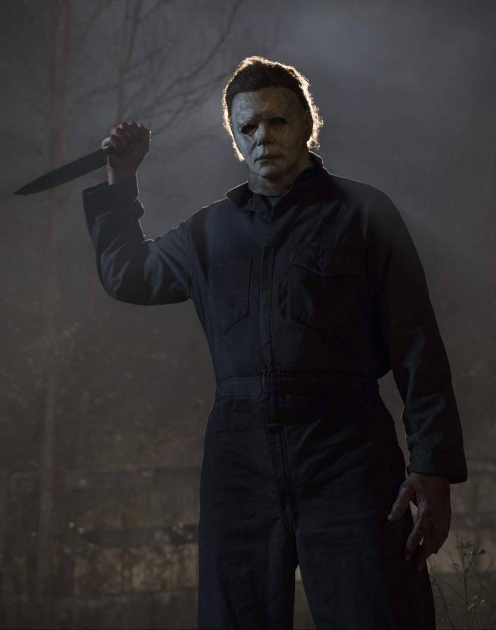 1009X1280 Michael Myers Wallpaper and Background