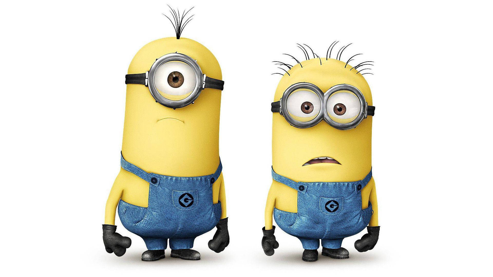 Minions 1920X1080 Wallpaper and Background Image