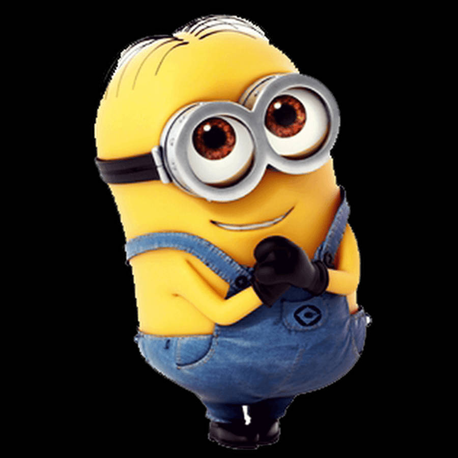 900X900 Minions Wallpaper and Background