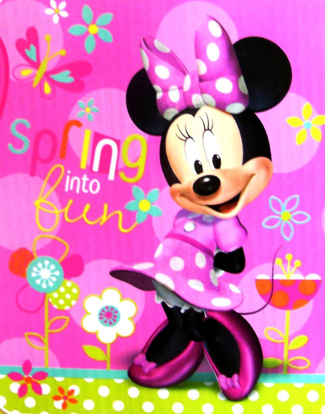 1070X1365 Minnie Mouse Wallpaper and Background