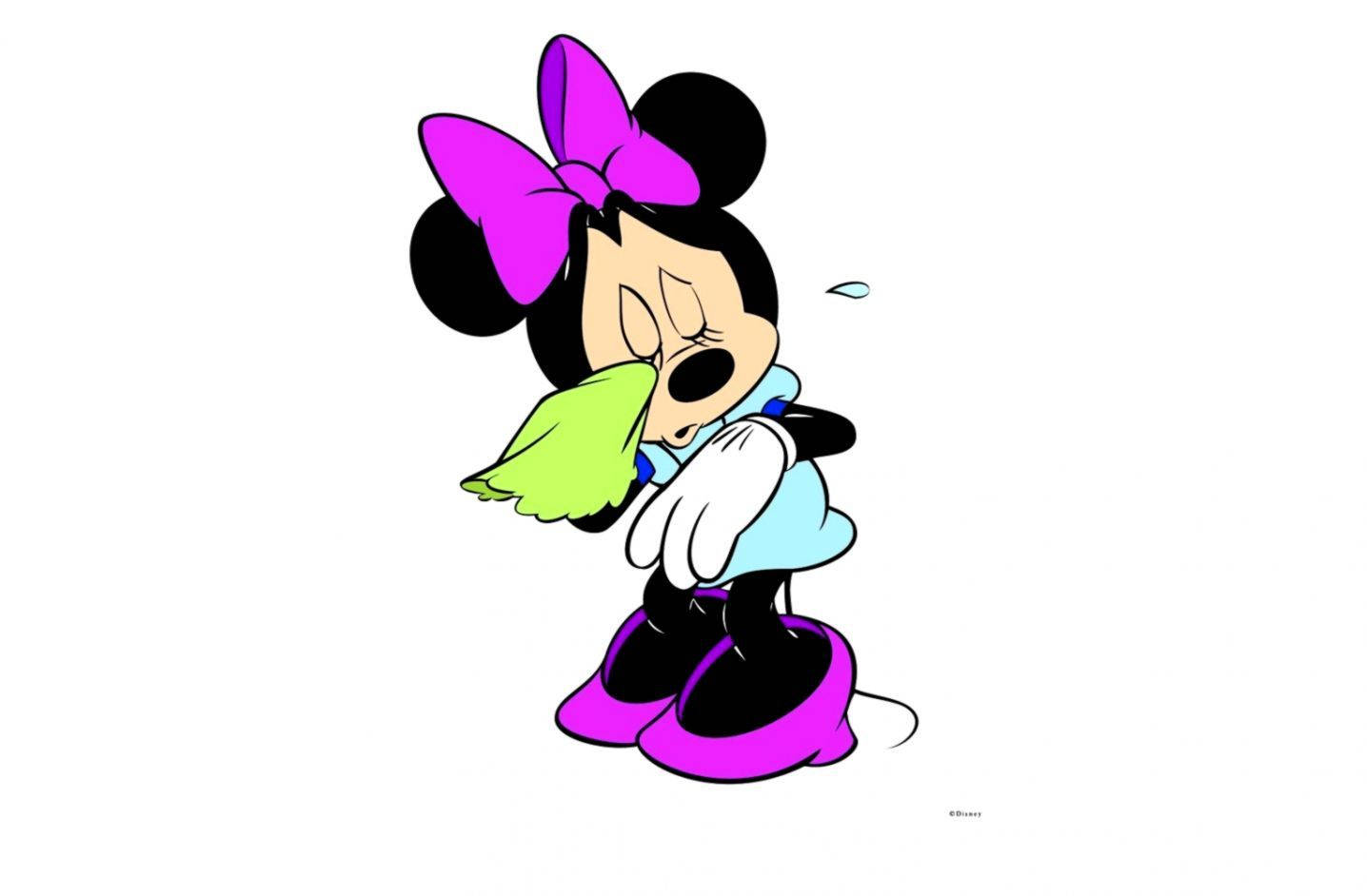 Minnie Mouse 1436X942 Wallpaper and Background Image