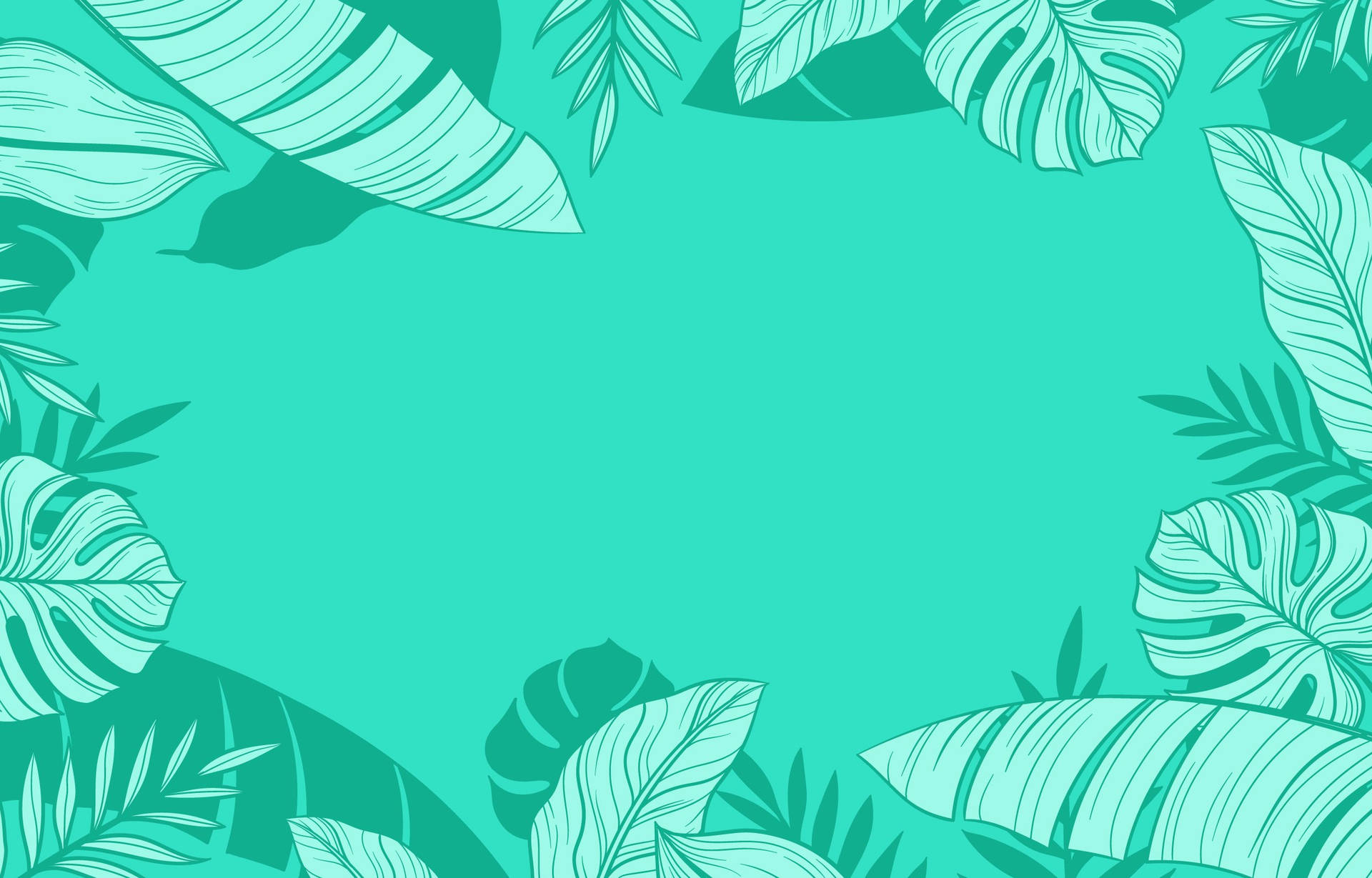 2500X1600 Mint Green Wallpaper and Background
