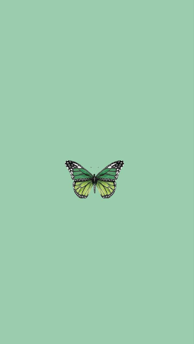 676X1200 Mint Green Wallpaper and Background