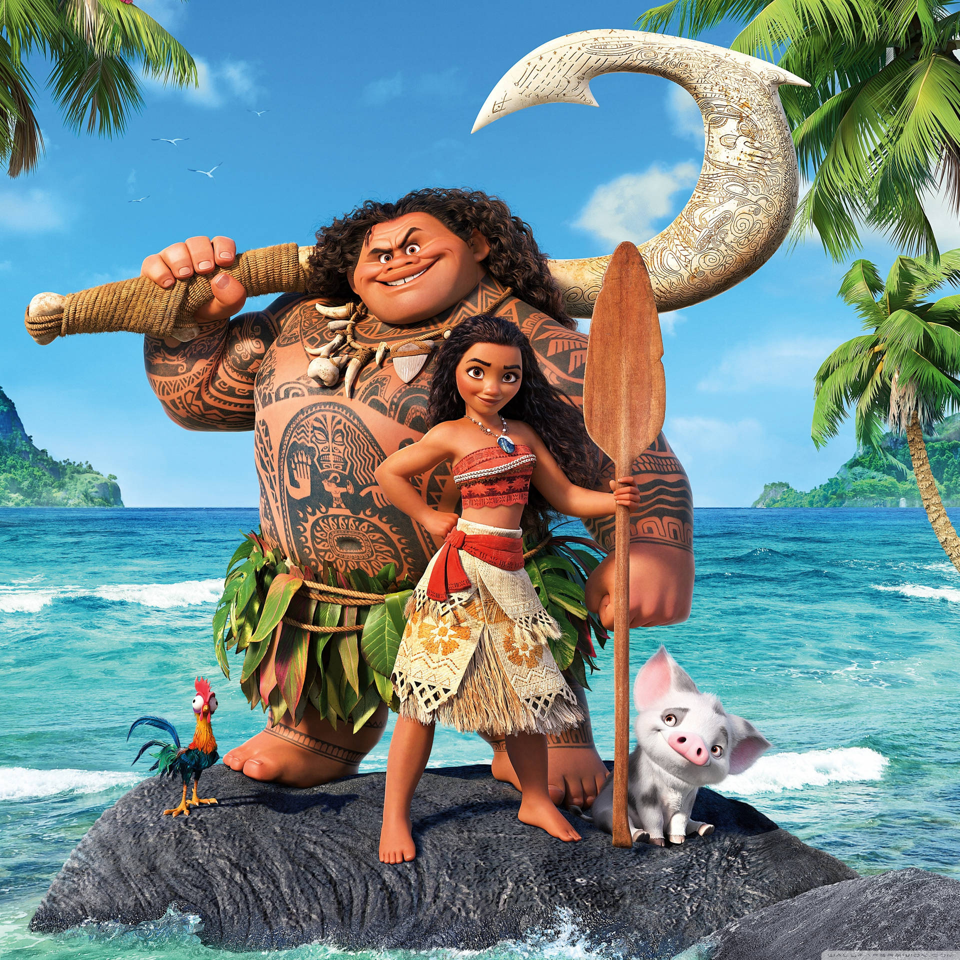 Moana 2732X2732 Wallpaper and Background Image