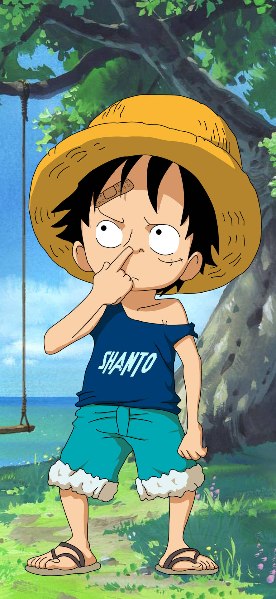 1080X2340 Monkey D Luffy Wallpaper and Background
