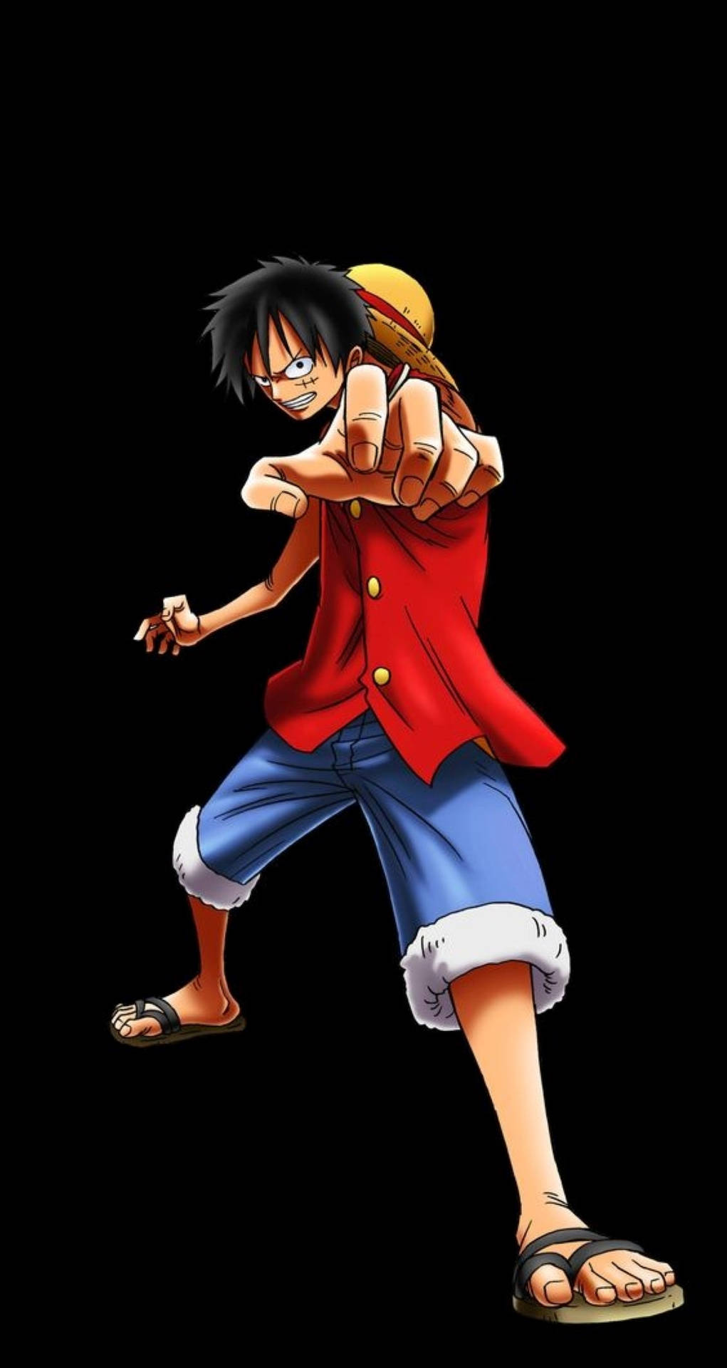 1149X2160 Monkey D Luffy Wallpaper and Background