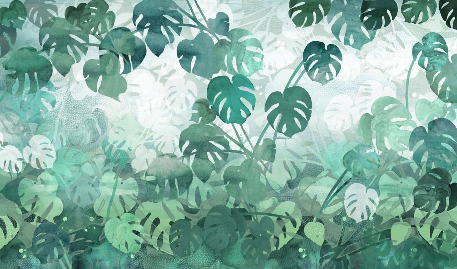 1920X1130 Monstera Wallpaper and Background