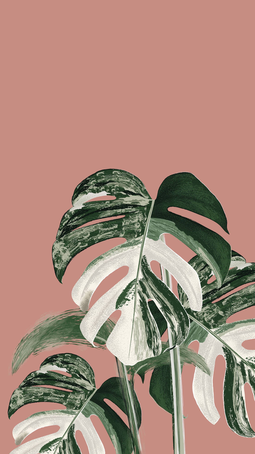 2250X4000 Monstera Wallpaper and Background