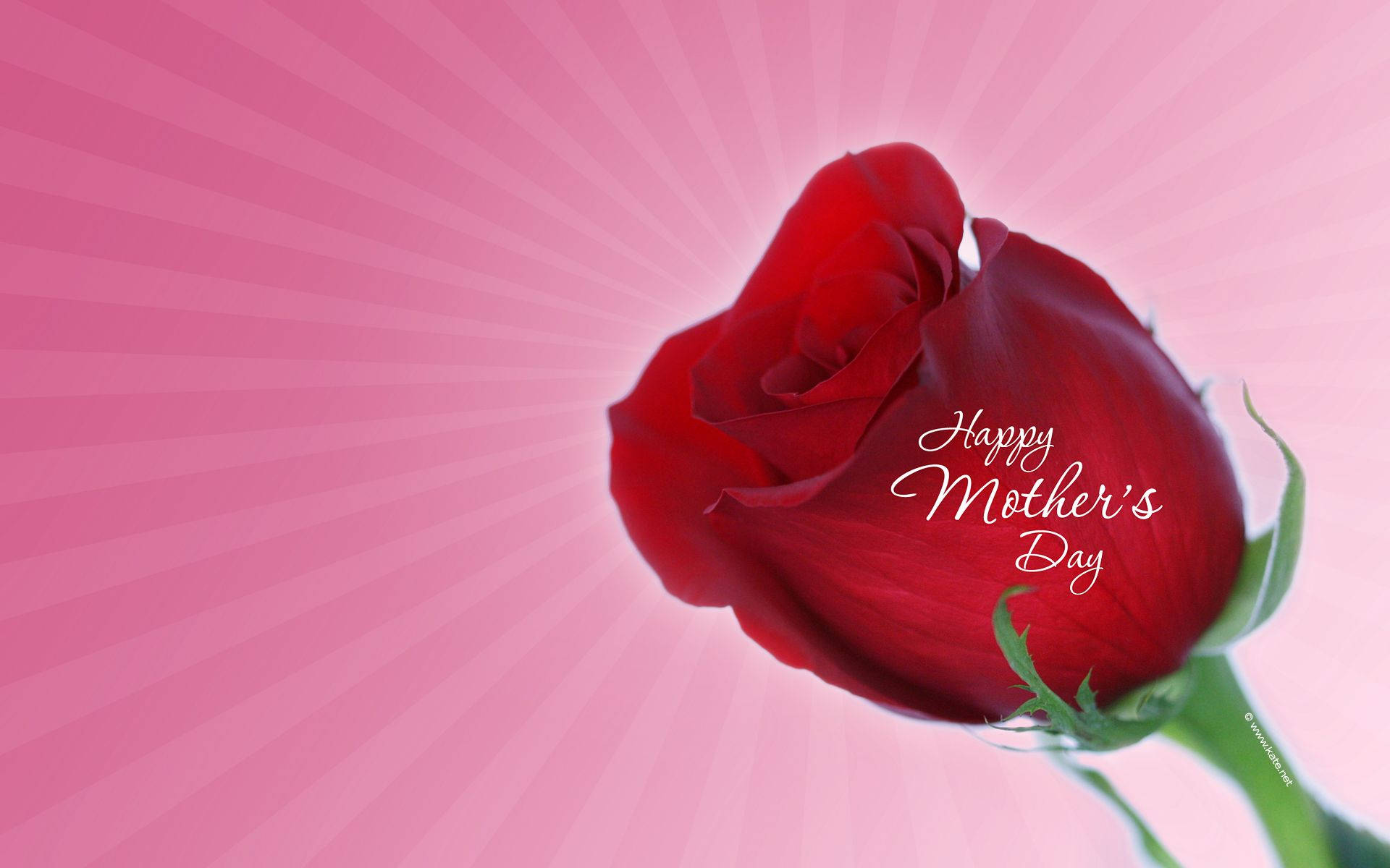 Mothers Day 1920X1200 Wallpaper and Background Image